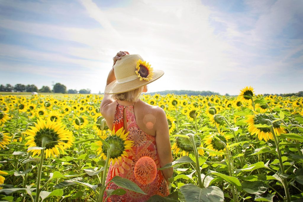 woman, flower wallpaper, sunflowers, nature, field, beautiful flowers, summer, blossom, bloom, flowers, beauty, female, girl, outdoors, leisure, flower background, travel, season